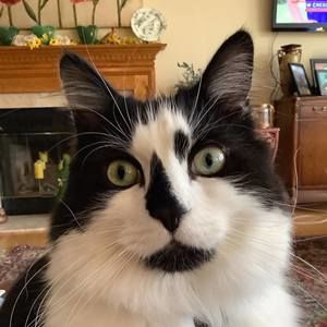 Meet your Posher, Ellen